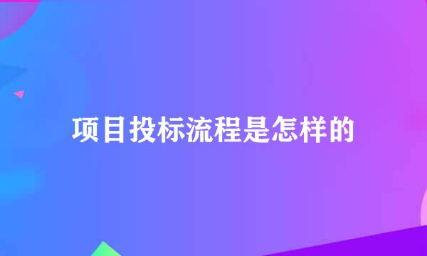 项目投标流程是怎样的