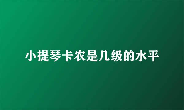 小提琴卡农是几级的水平