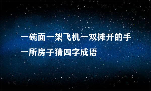 一碗面一架飞机一双摊开的手一所房子猜四字成语