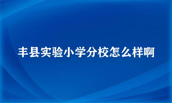 丰县实验小学分校怎么样啊