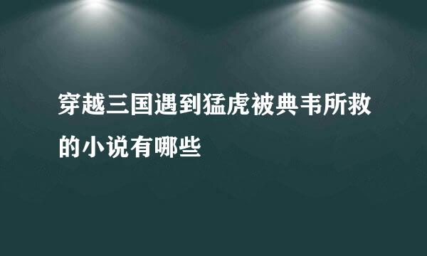 穿越三国遇到猛虎被典韦所救的小说有哪些