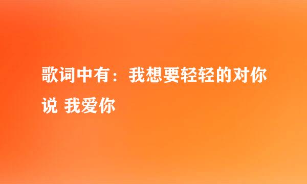 歌词中有：我想要轻轻的对你说 我爱你