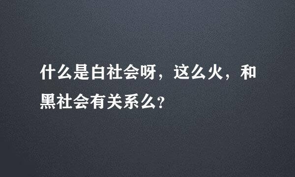 什么是白社会呀，这么火，和黑社会有关系么？