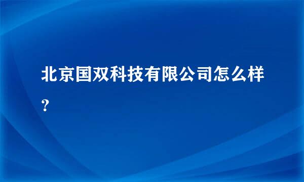 北京国双科技有限公司怎么样？