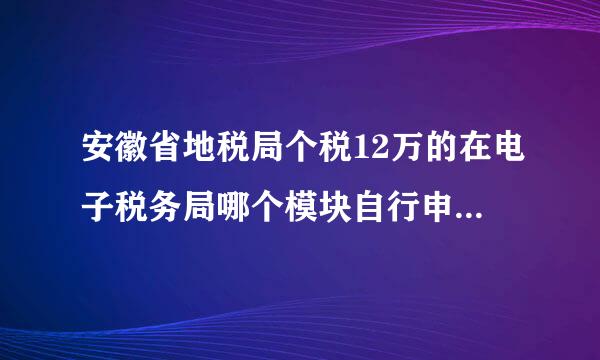 安徽省地税局个税12万的在电子税务局哪个模块自行申报，操作流程