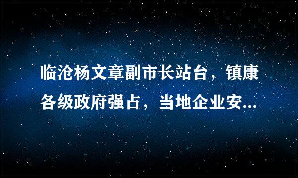 临沧杨文章副市长站台，镇康各级政府强占，当地企业安然李文刚诈骗，国法在临沧不适用吗