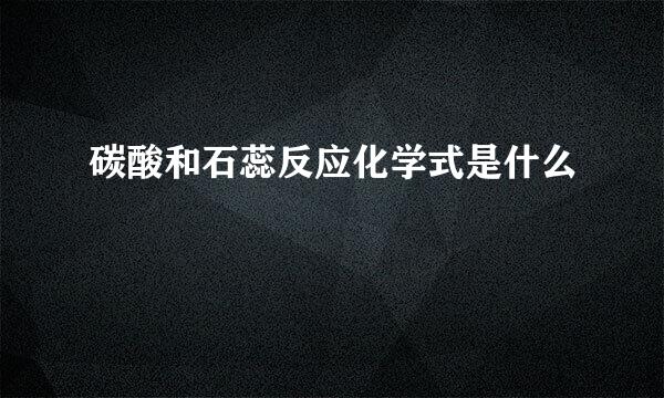 碳酸和石蕊反应化学式是什么