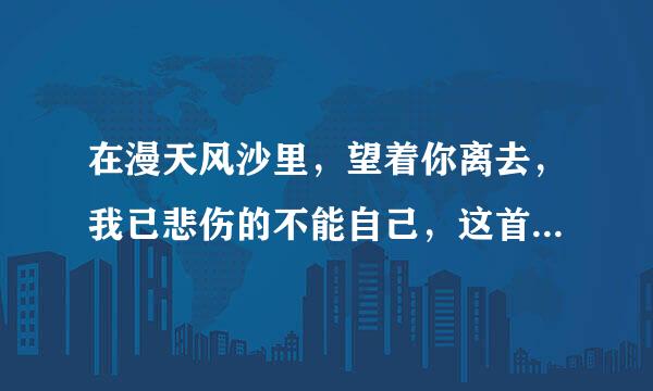 在漫天风沙里，望着你离去，我已悲伤的不能自己，这首歌的歌名叫什么？