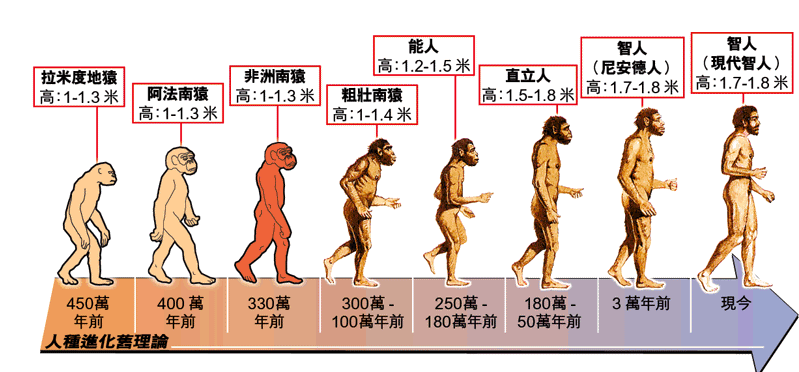 有哪些生物现象挑战达尔文的进化论