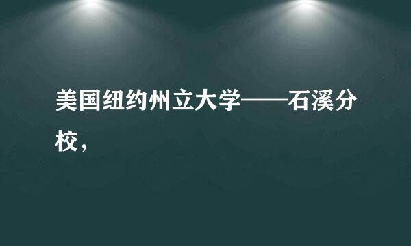 美国纽约州立大学——石溪分校，