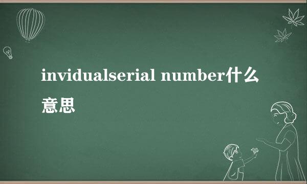 invidualserial number什么意思