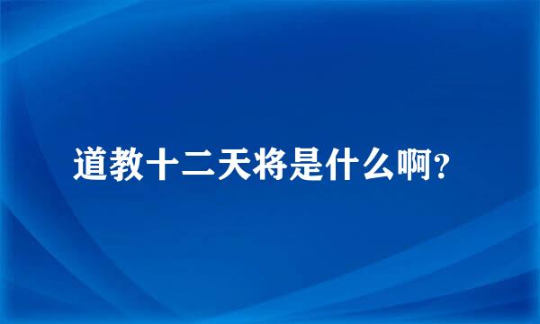 道教十二天将是什么啊？