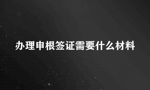 办理申根签证需要什么材料