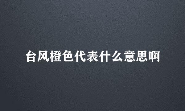 台风橙色代表什么意思啊