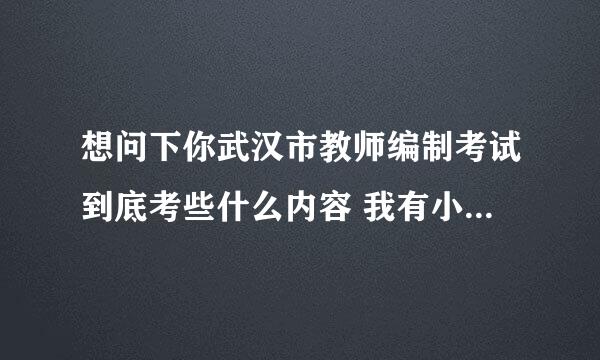 想问下你武汉市教师编制考试到底考些什么内容 我有小学语文的资格证，谢谢！！