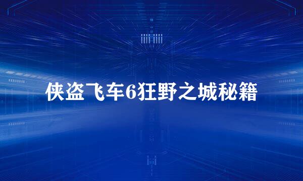 侠盗飞车6狂野之城秘籍