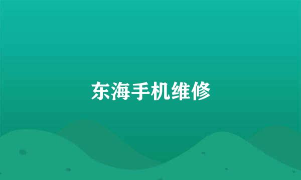 东海手机维修