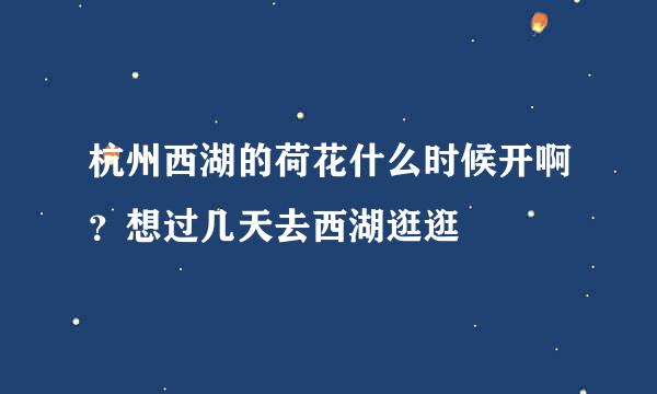 杭州西湖的荷花什么时候开啊？想过几天去西湖逛逛