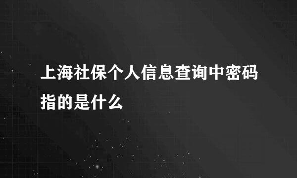 上海社保个人信息查询中密码指的是什么