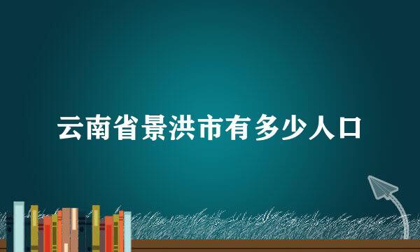 云南省景洪市有多少人口