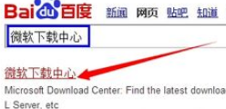 word2010在电脑上怎么下载？？？急