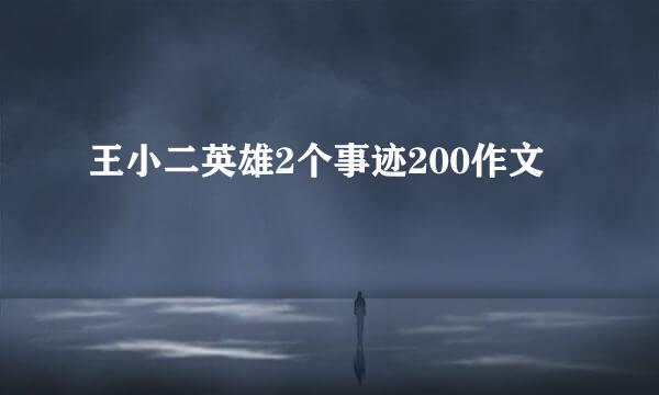 王小二英雄2个事迹200作文