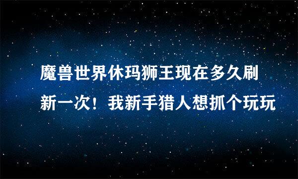 魔兽世界休玛狮王现在多久刷新一次！我新手猎人想抓个玩玩