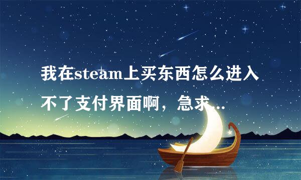 我在steam上买东西怎么进入不了支付界面啊，急求帮忙啊！！