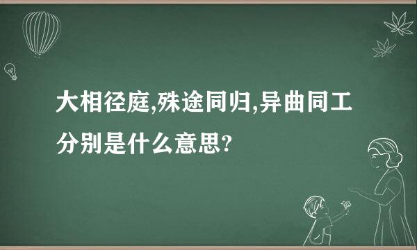 大相径庭,殊途同归,异曲同工分别是什么意思?