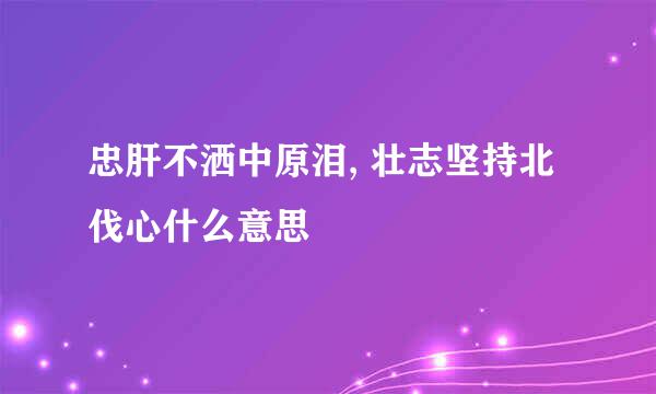 忠肝不洒中原泪, 壮志坚持北伐心什么意思