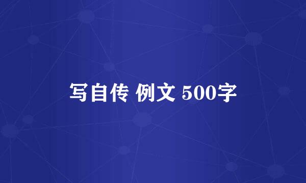 写自传 例文 500字