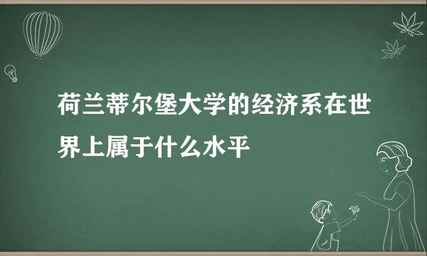 荷兰蒂尔堡大学的经济系在世界上属于什么水平