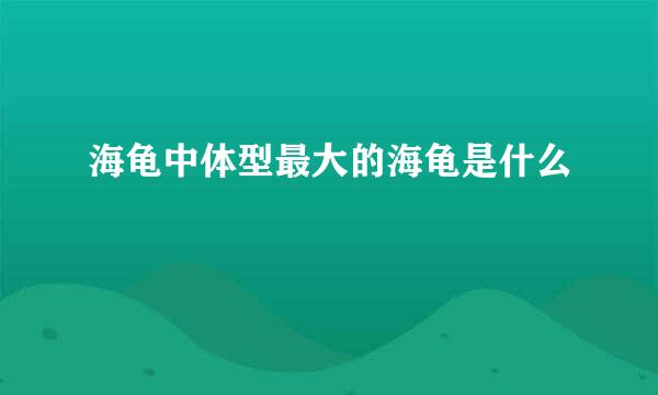 海龟中体型最大的海龟是什么