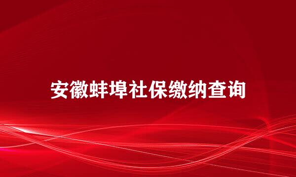 安徽蚌埠社保缴纳查询