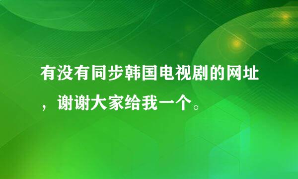 有没有同步韩国电视剧的网址，谢谢大家给我一个。