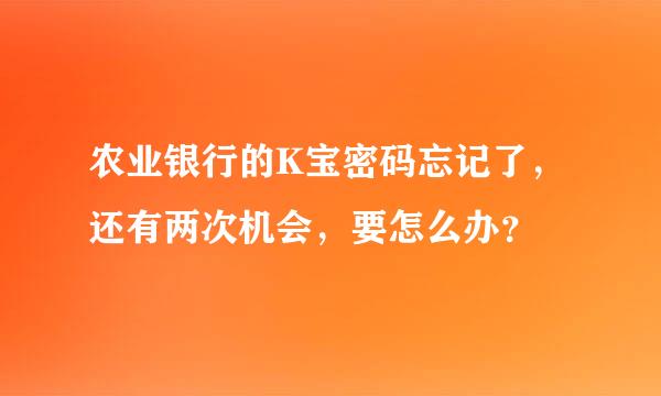 农业银行的K宝密码忘记了，还有两次机会，要怎么办？