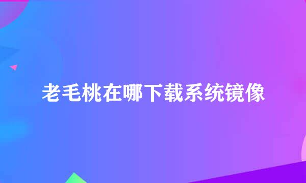 老毛桃在哪下载系统镜像