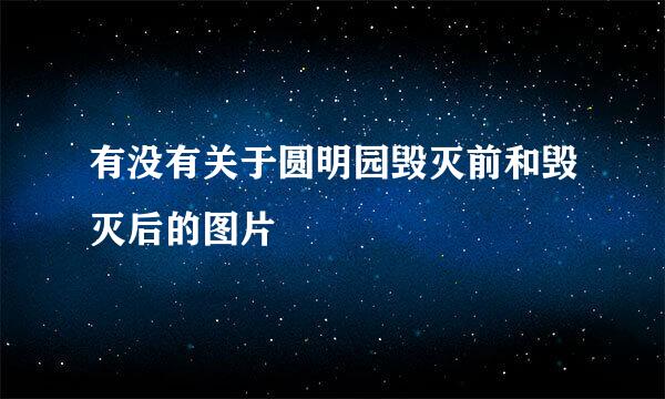 有没有关于圆明园毁灭前和毁灭后的图片