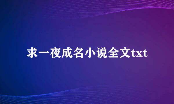 求一夜成名小说全文txt