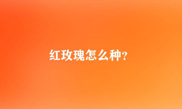 红玫瑰怎么种？