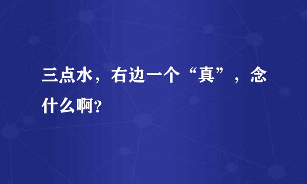 三点水，右边一个“真”，念什么啊？