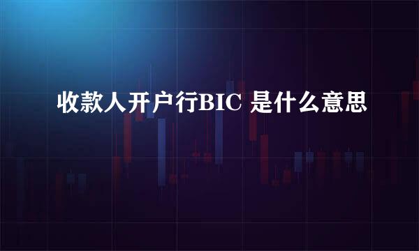 收款人开户行BIC 是什么意思