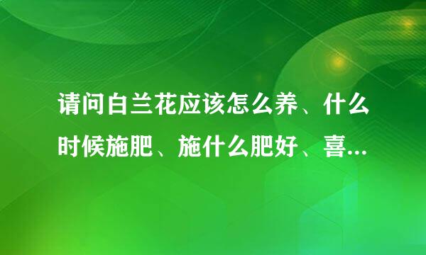 请问白兰花应该怎么养、什么时候施肥、施什么肥好、喜欢潮湿还是干旱