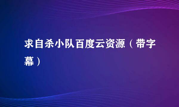 求自杀小队百度云资源（带字幕）