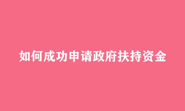 如何成功申请政府扶持资金