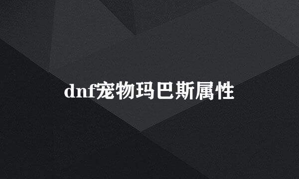 dnf宠物玛巴斯属性