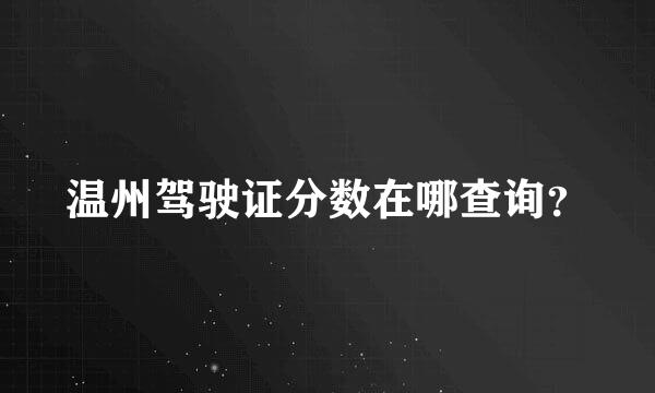 温州驾驶证分数在哪查询？