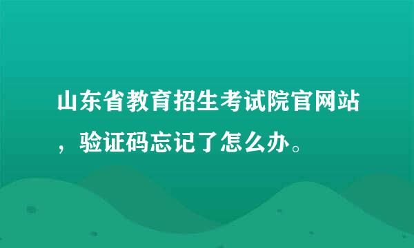 山东省教育招生考试院官网站，验证码忘记了怎么办。