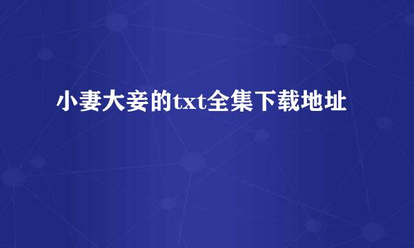 小妻大妾的txt全集下载地址