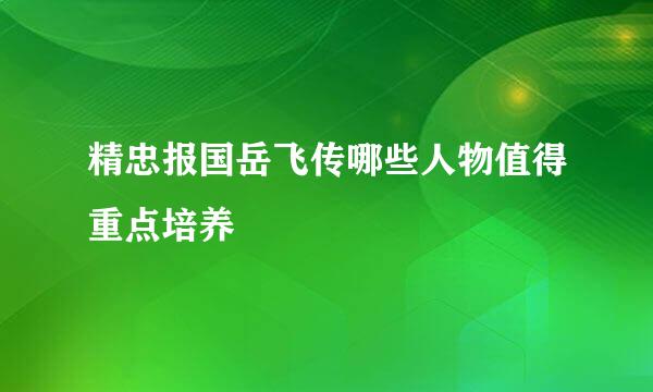 精忠报国岳飞传哪些人物值得重点培养